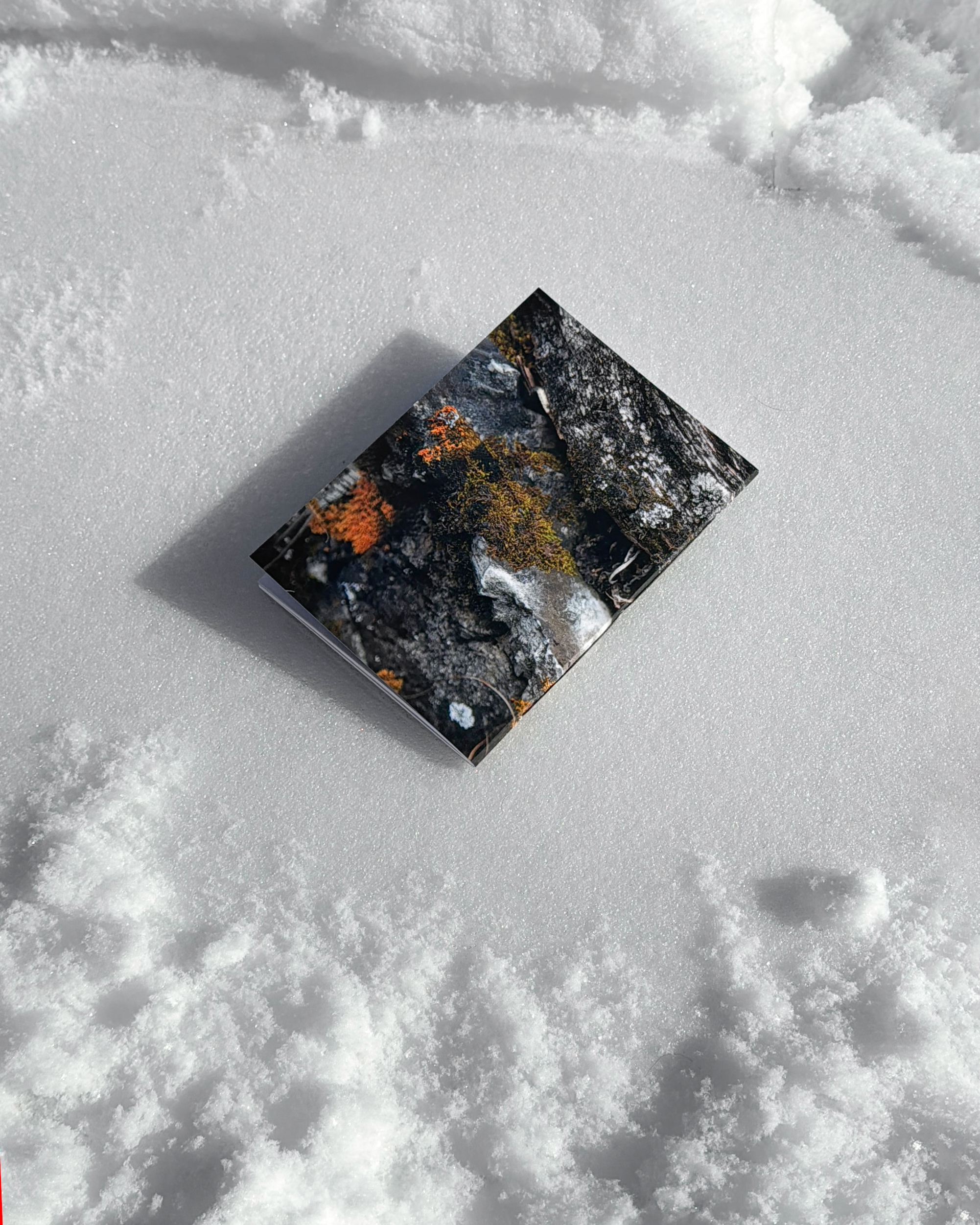 Mох (большая)